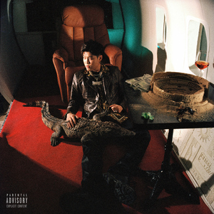 美女脱了个精光露出奶头屁吻
